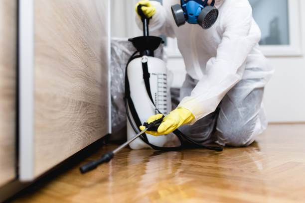 Best Local Pest Control Services  in Airmont, NY