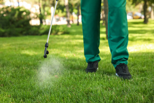 Best Cockroach Control Services  in Airmont, NY