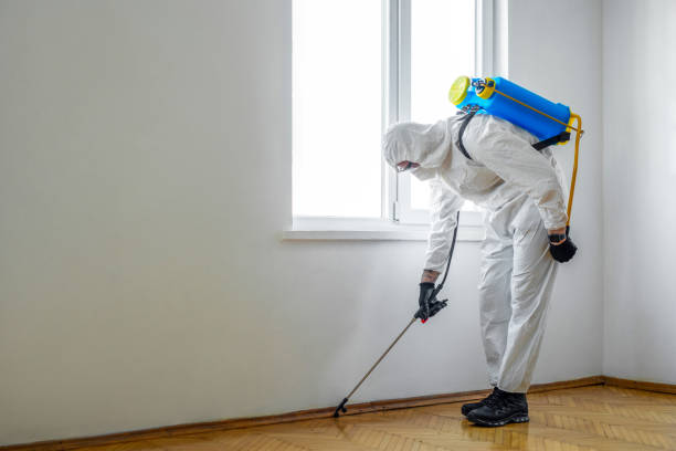 Best Flea Control Services  in Airmont, NY