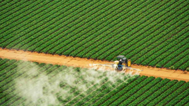 Best Ant Control Services  in Airmont, NY