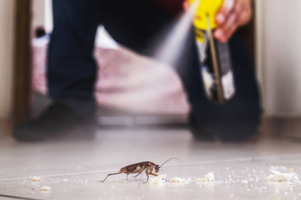 Best Residential Pest Control  in Airmont, NY