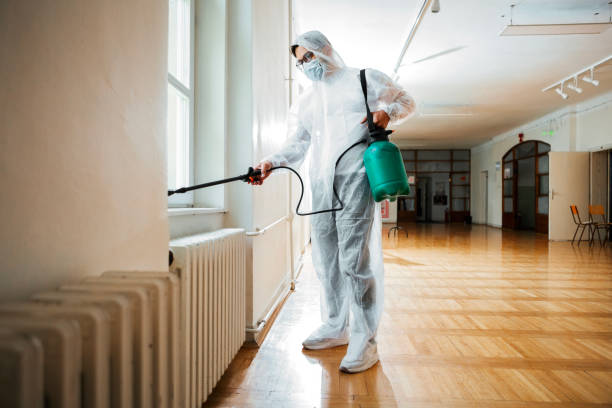 Best Pest Inspection Near Me  in Airmont, NY