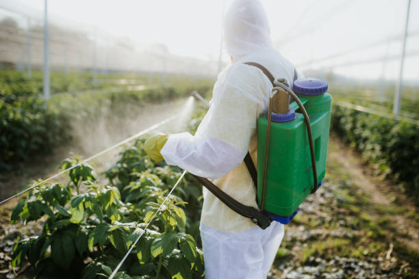 Best Affordable Pest Control Services  in Airmont, NY